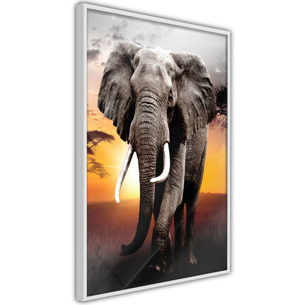 Poster 'Majestic Elephant'