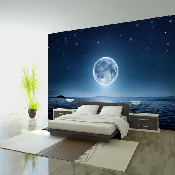 Wallpaper 'Moonlit night'