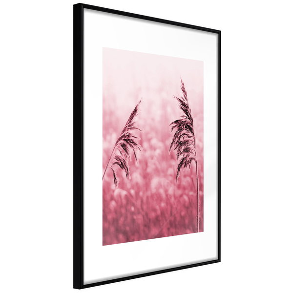 Poster 'Amaranth Meadow'