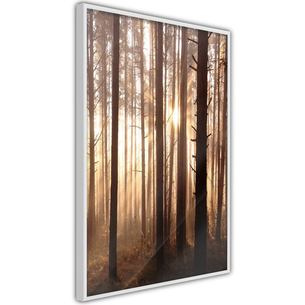 Poster 'Morning in the Forest'