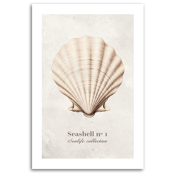 Kunstdruck auf Leinwand 'Seashell #1'
