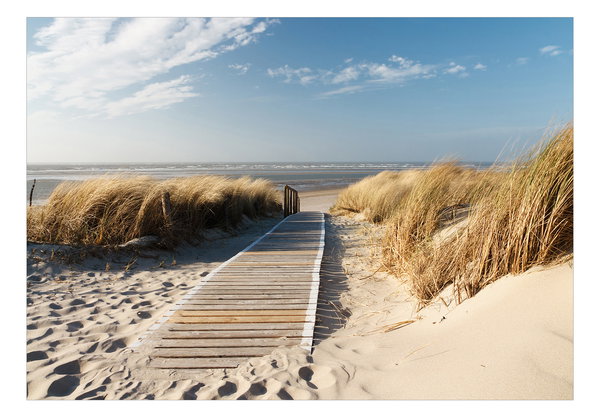 Selbstklebende Tapete 'Lonely Beach'