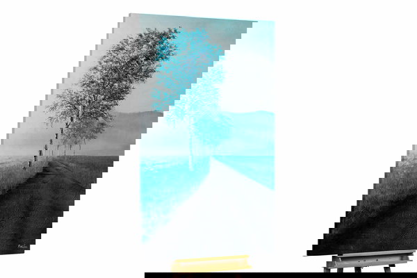 Een uniek exemplaar voor je interieur