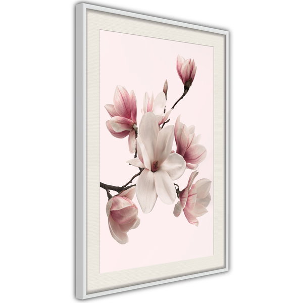 Poster 'Blooming Magnolias I'