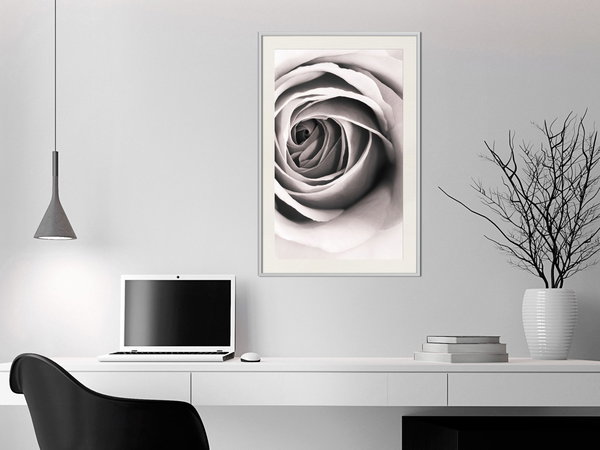 Poster 'Structure of Petals'